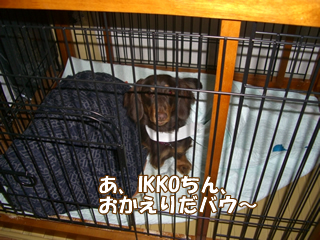 souther_20081205i