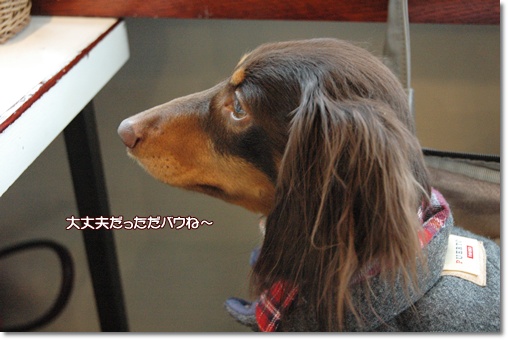 souther_20100208d