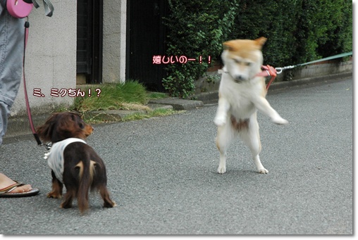 souther_20100819i