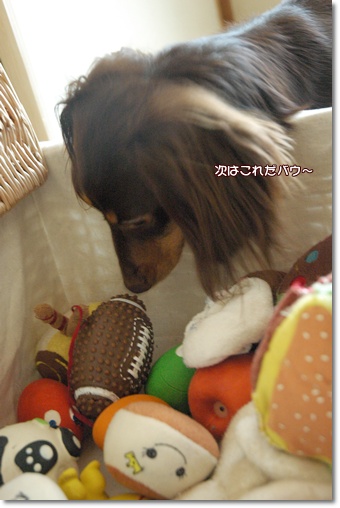 souther_20100721j
