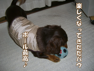 souther_20081127f