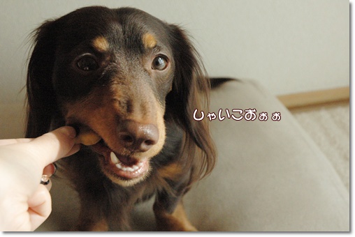 souther_20091229k