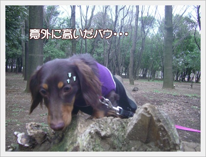 souther_20090401f