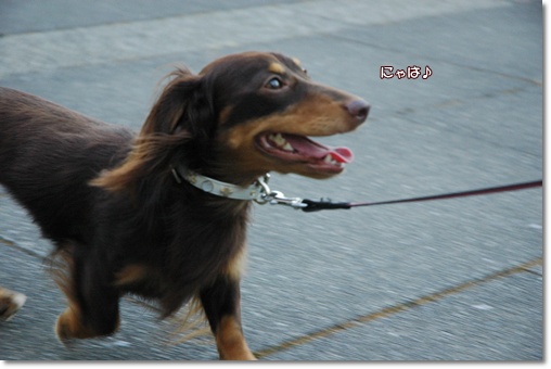souther_20100725e