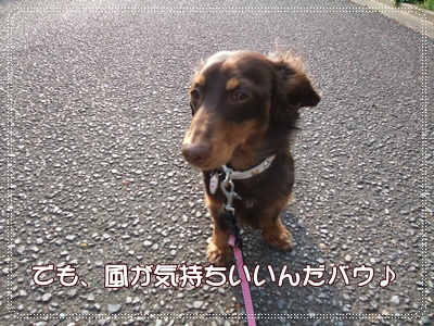 souther_20090428e