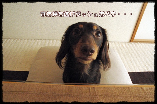 souther_20091223g