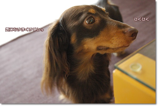 souther_20100821c