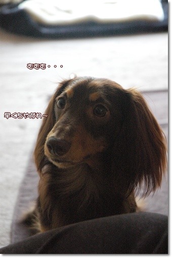 souther_20110604e