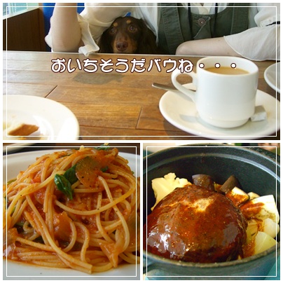 souther_20090804g
