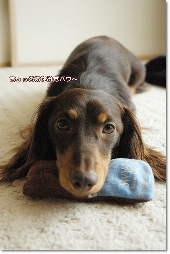 souther_20100820j