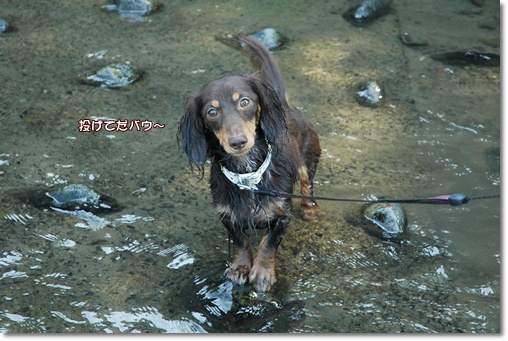 souther_20100730e