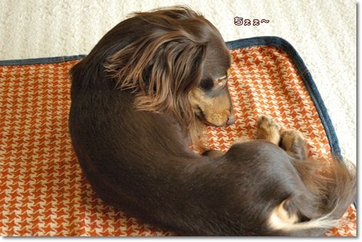 souther_20101011c