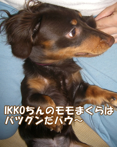 souther_20081116d