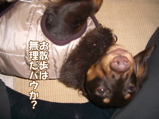 souther_20081127b