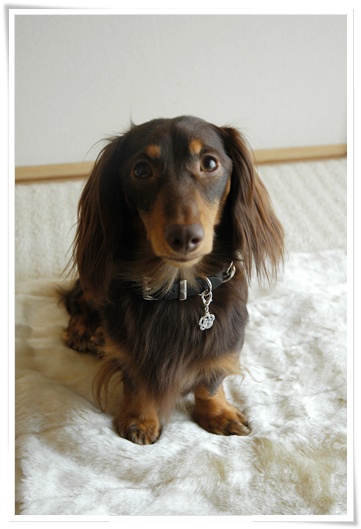 souther_20100720g