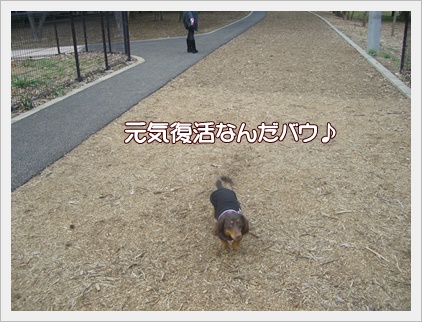 souther_20090401b