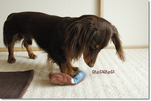 souther_20100820g