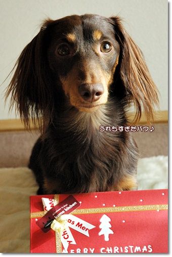 20101225d