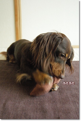 souther_20100820f
