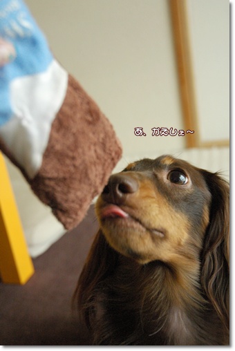 souther_20100820c