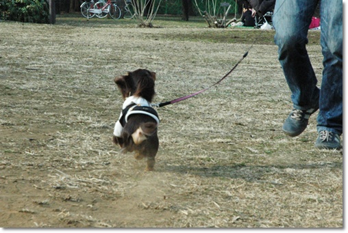 souther_20100202d
