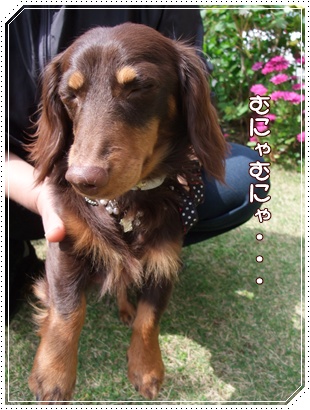 souther_20090427j