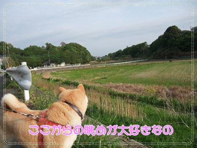 souther_20090428g