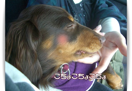 souther_20090330f