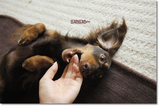 souther_20100925g