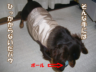 souther_20081127e