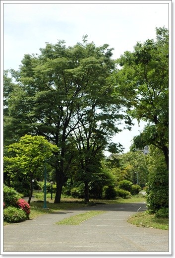 souther_20110524b