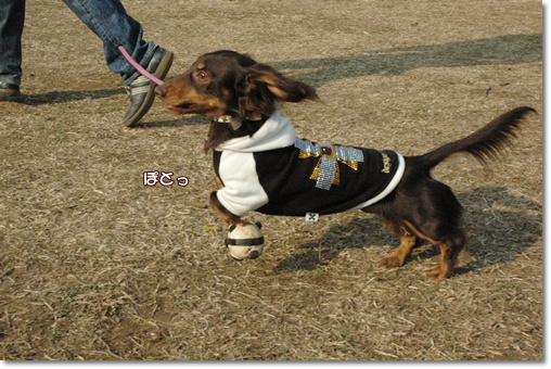 souther_20100202i
