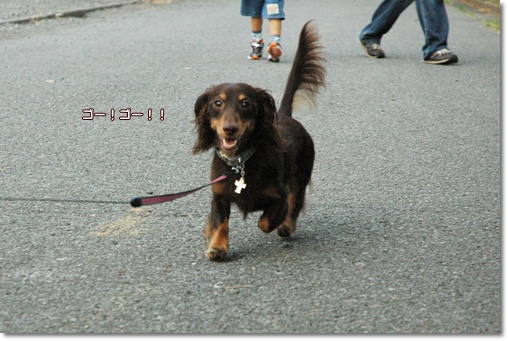 souther_20100818b
