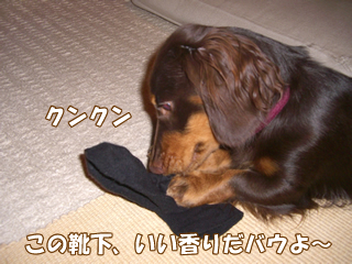 sother_20081220b