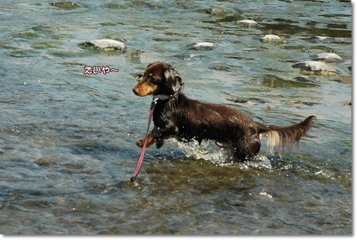 souther_20100730j