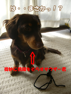 souther_20081205d