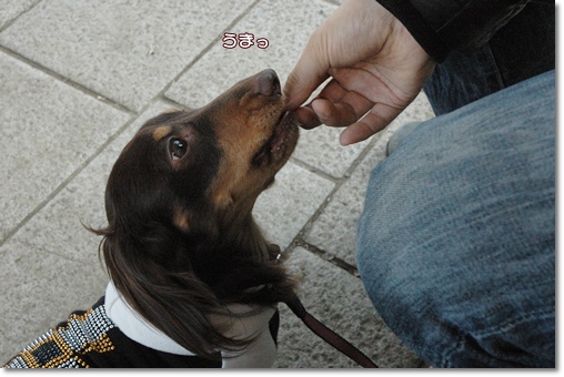 souther_20100202c