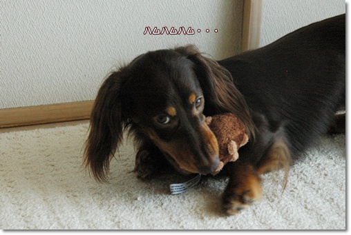 souther_20100723c