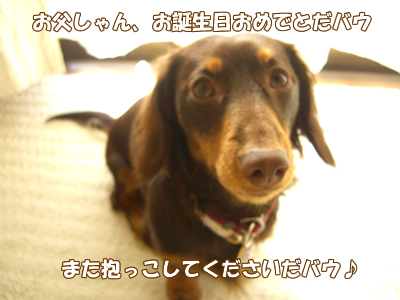 souther_20090127a