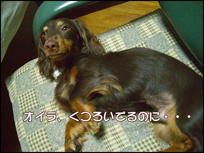 souther_20090505a