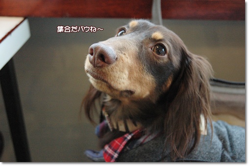 souther_20100208a