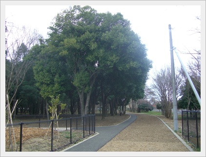 souther_20090401a