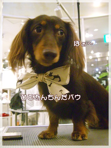 souther_20090928d