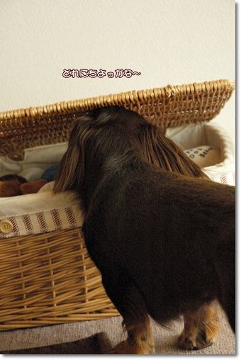 20110129h