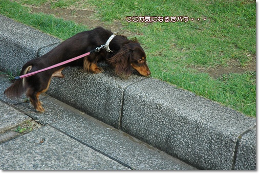 souther_20100725f