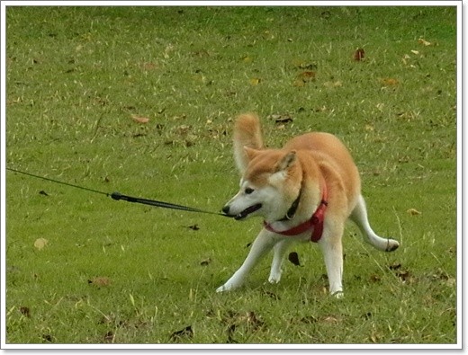 souther_20111120e