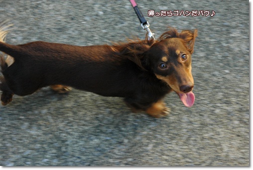 souther_20100725j