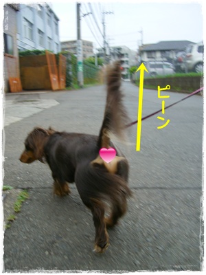 souther_20090719b
