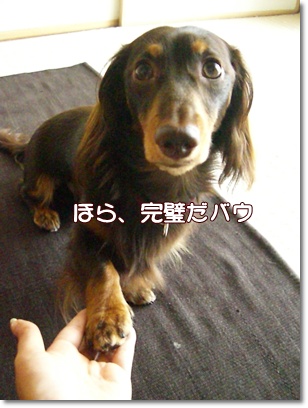 souther_20090730h