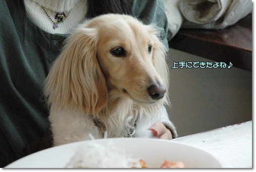 souther_20100208e